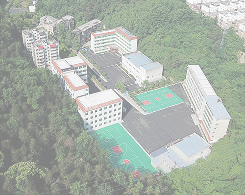 太阳集团
